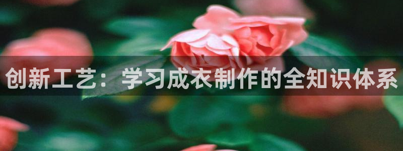 天辰娱乐平台