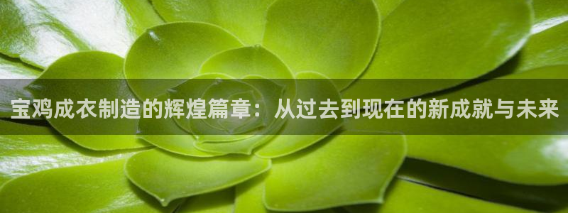 天辰娱乐说