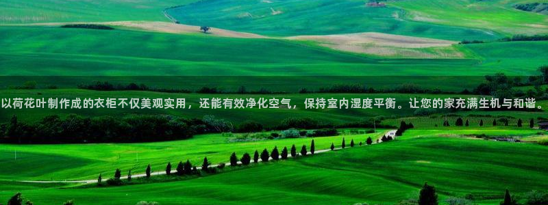 天辰国际娱乐