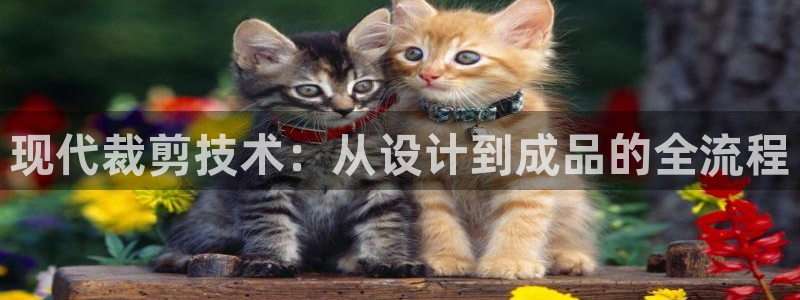 天辰娱乐53551