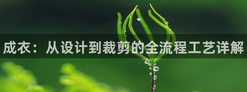 天辰娱乐总管年薪