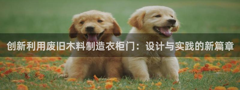 天辰娱乐平台地址