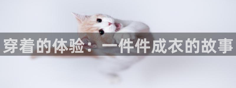 天辰娱乐主管