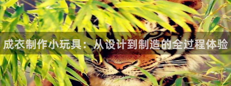 天辰娱乐728567