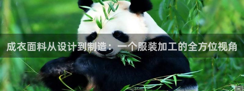 天辰娱乐39974神