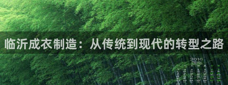 天辰娱乐游客