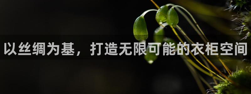 天辰娱乐天辰宝