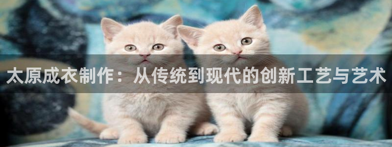 南京天辰娱乐