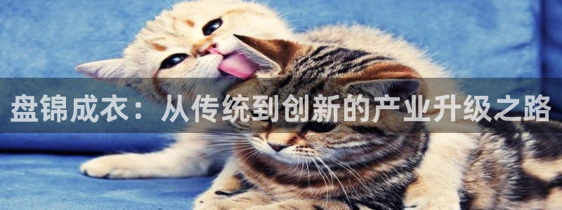 天辰娱乐总管年薪