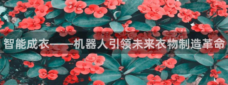 南京天辰娱乐