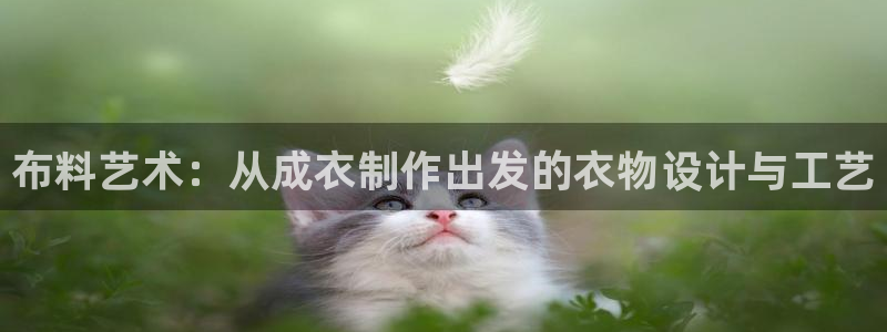天辰娱乐厕所