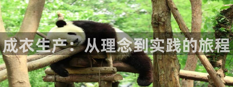 天辰娱乐官方网