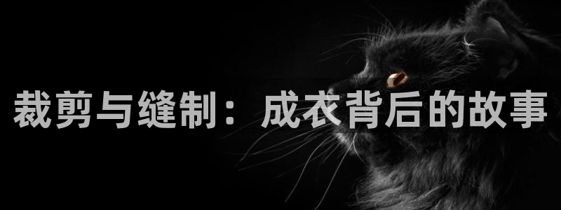 天辰娱乐主管