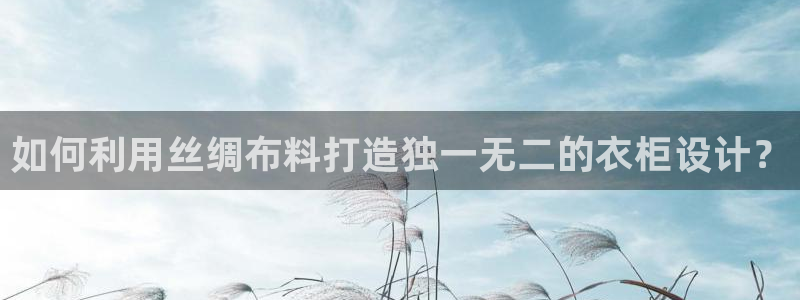 天辰娱乐总管