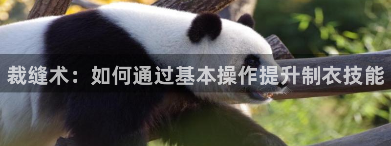 天辰平台娱乐