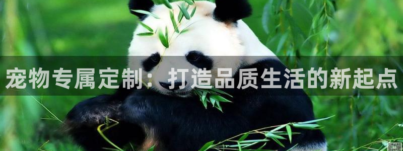 深圳天辰娱乐
