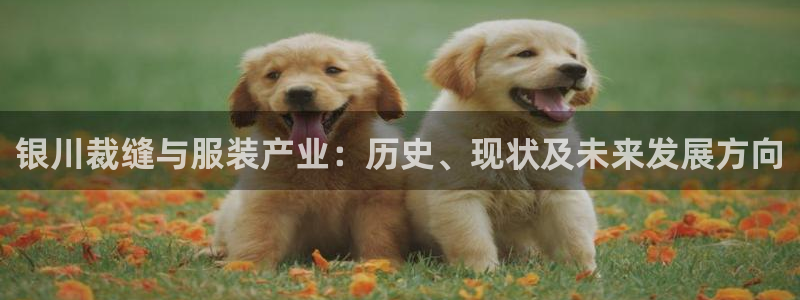 天辰娱乐网址娱乐游戏