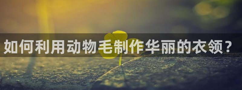 天辰娱乐海洋