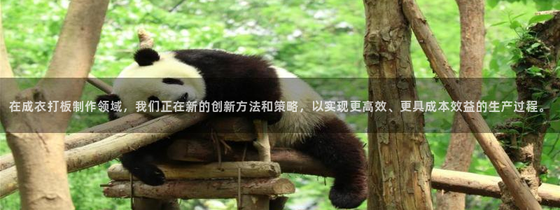天辰娱乐公司