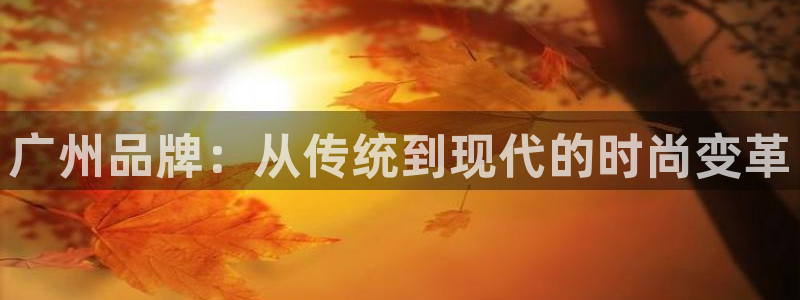 天辰娱乐海洋