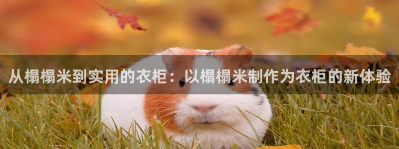 天辰娱乐首页