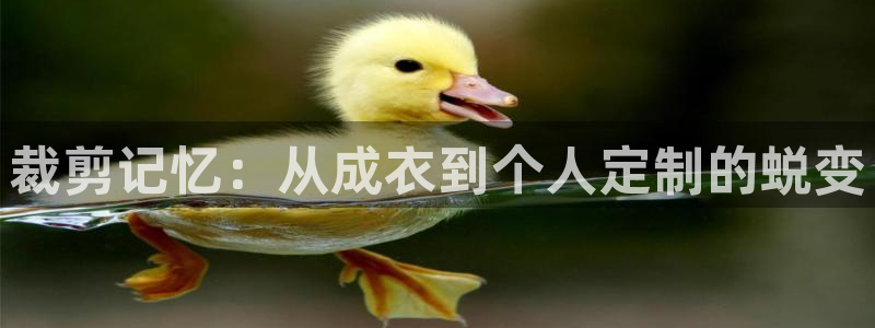 天辰娱乐APP下载