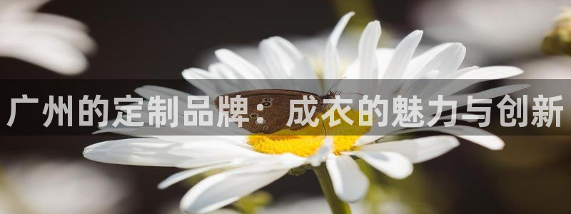 天辰娱乐海洋