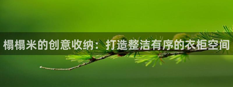 天辰娱乐 主管