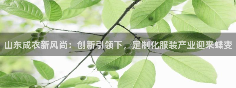 天辰娱乐首选