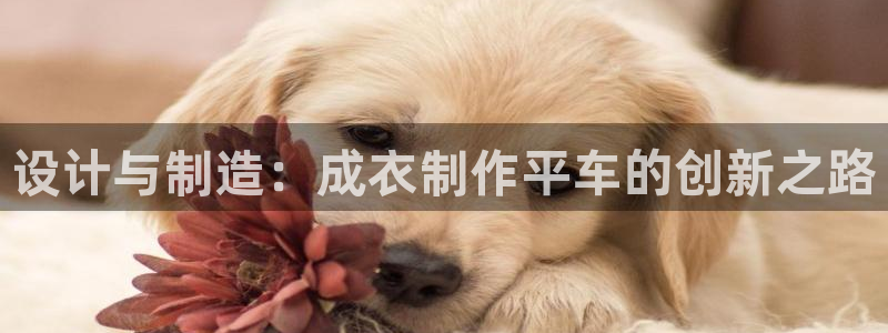 天辰娱乐平台入口