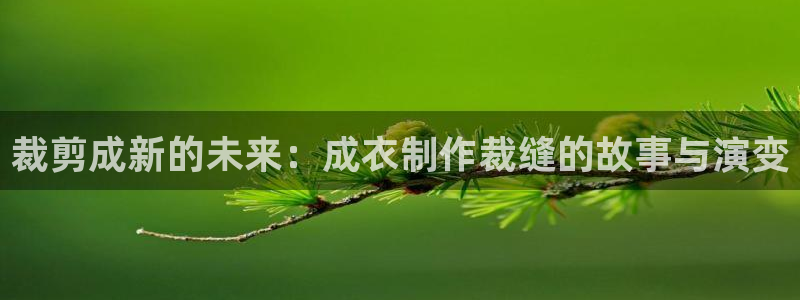 天辰娱乐84566