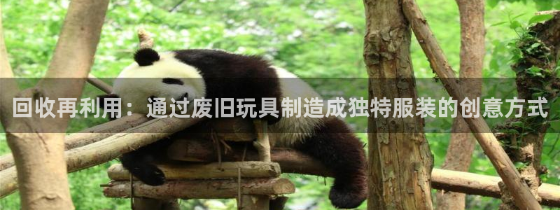 天辰娱乐服务