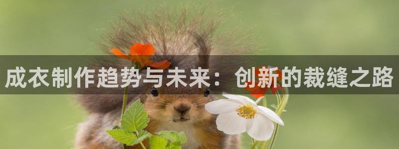 天富娱乐与天辰娱乐