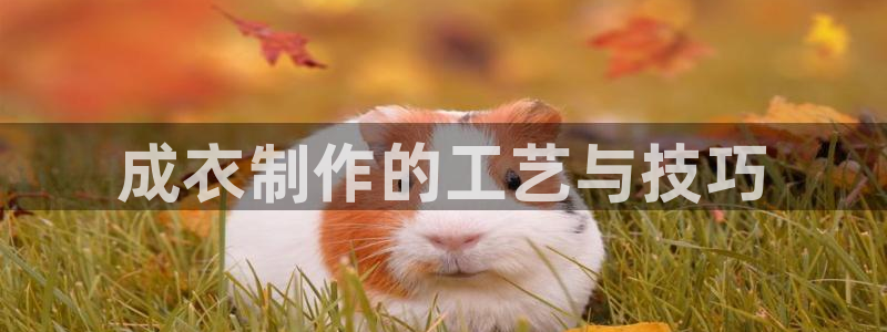 天辰娱乐39974神