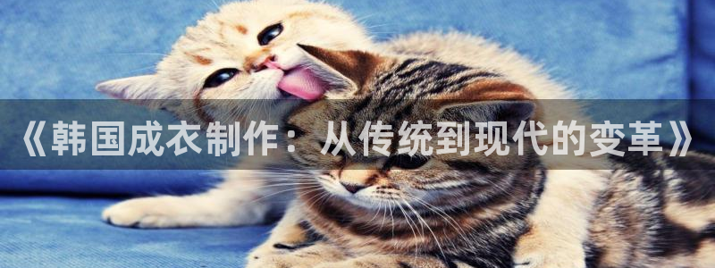 广东天辰娱乐