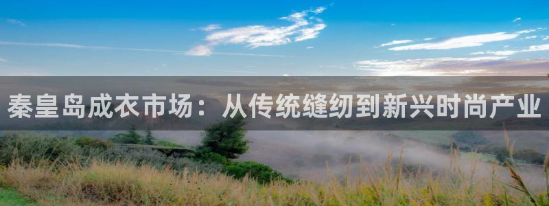 天辰娱乐游戏平台怎么样