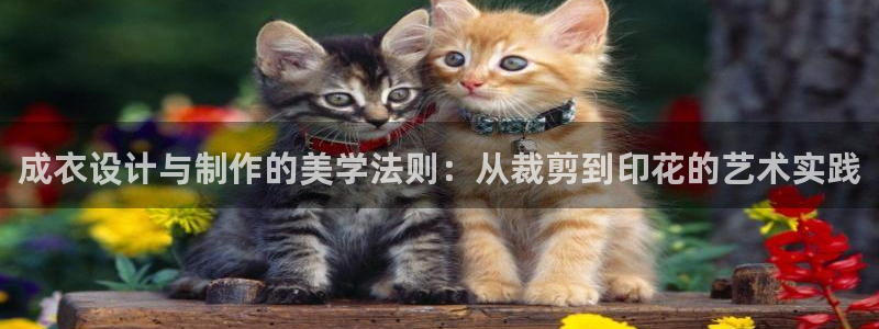 南京天辰娱乐