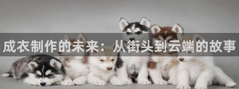 天辰娱乐平台测速