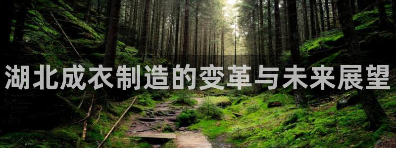 天辰娱乐39974神