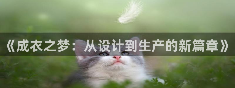 天辰娱乐总管年薪