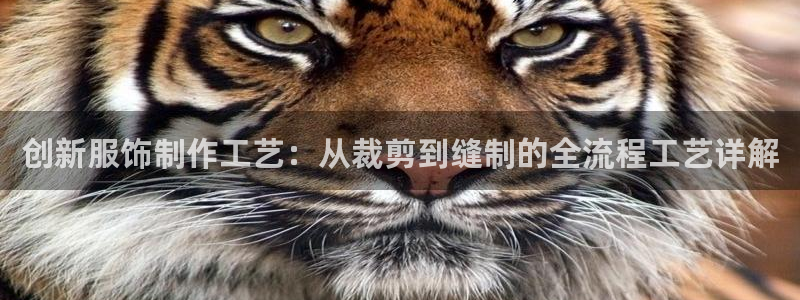 天辰娱乐招商
