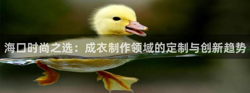 天辰娱乐主管