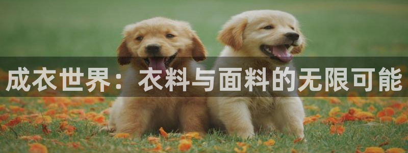 天辰娱乐视频