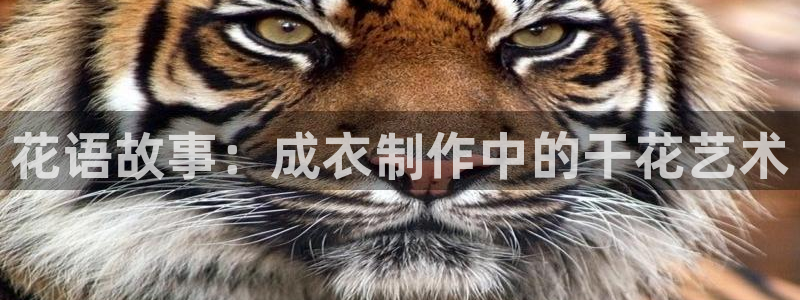 天辰娱乐平台安全吗