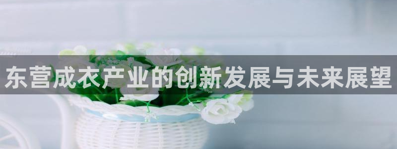 天辰娱乐平台地址在哪里