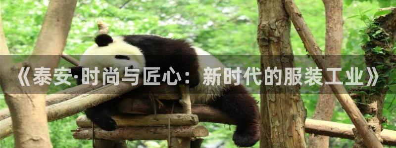 天辰团队贝高娱乐